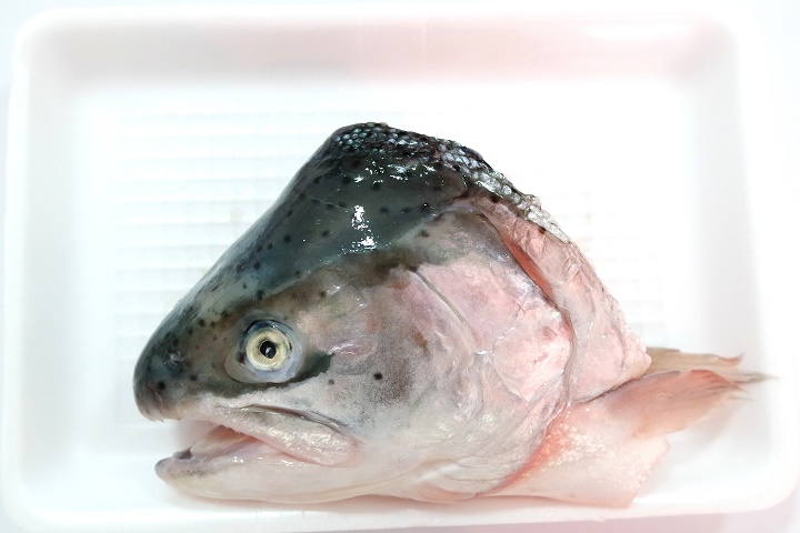 SALMON HEAD